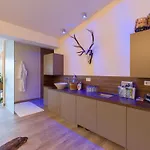 Sonnleiten Ski- Und Motorradhotel Bruck Im Zillertal 3*