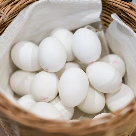Sonnleiten Ski- Und Motorradhotel Bruck Im Zillertal Bruck am Ziller