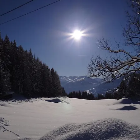 Sonnleiten Ski- Und Motorradhotel Bruck Im Zillertal Otel Bruck am Ziller